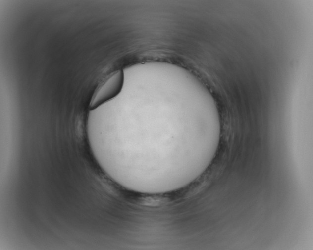 X0000110770708200906291048