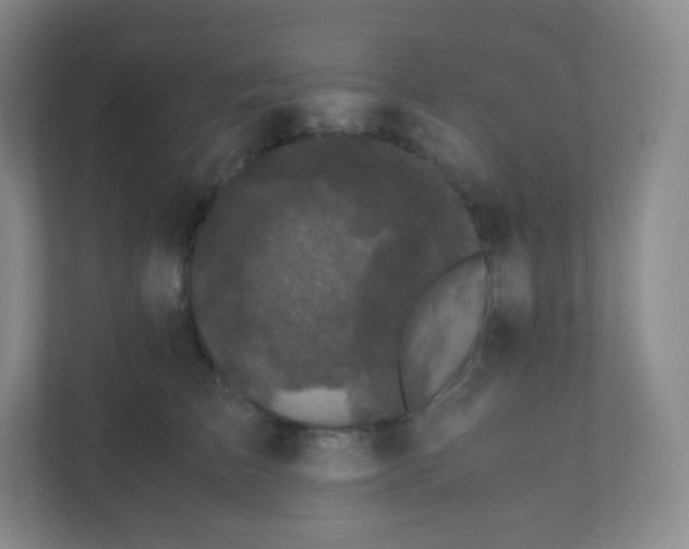 X0000110770709200906291048