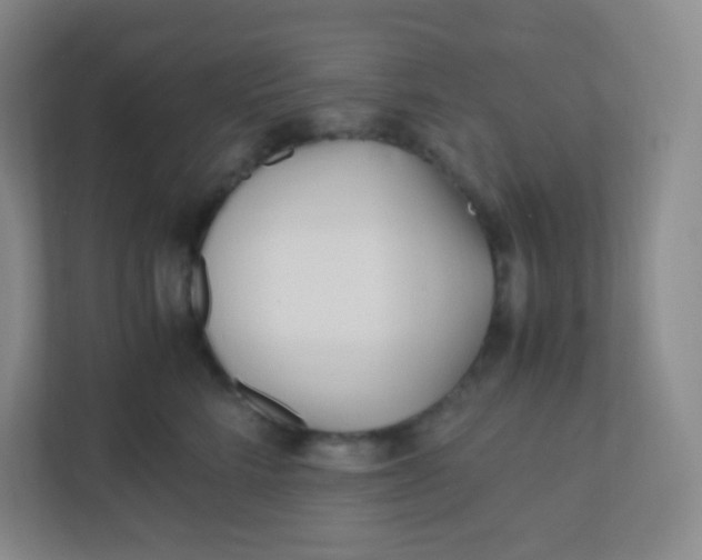 X0000110770712200906291048