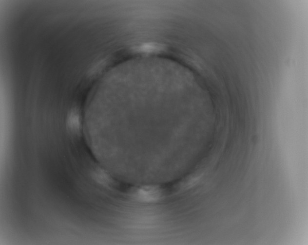 X0000110770720200906291048