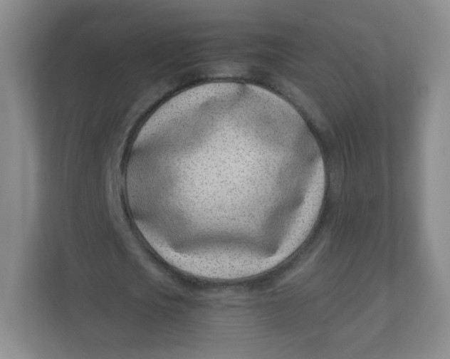 X0000110770721200906291047