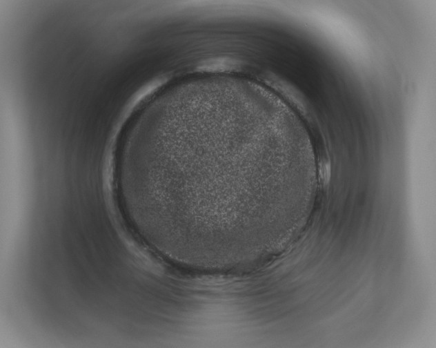 X0000110770724200906291047