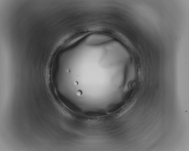 X0000110770725200906291047