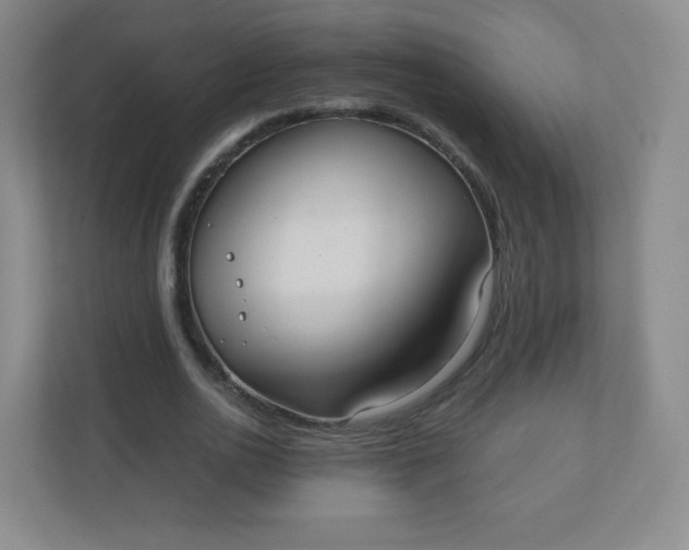 X0000110770726200906291047