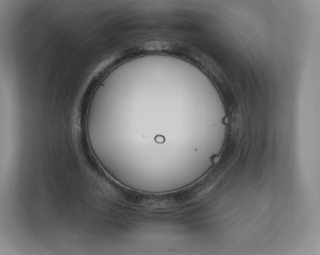 X0000110770727200906291047