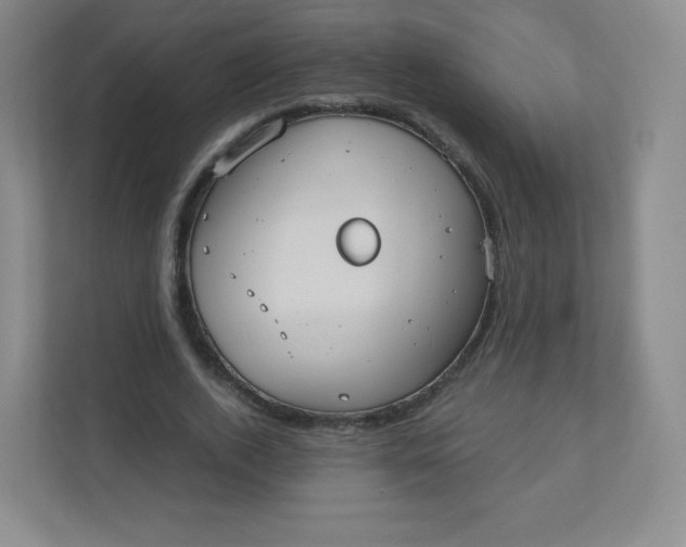 X0000110770728200906291047