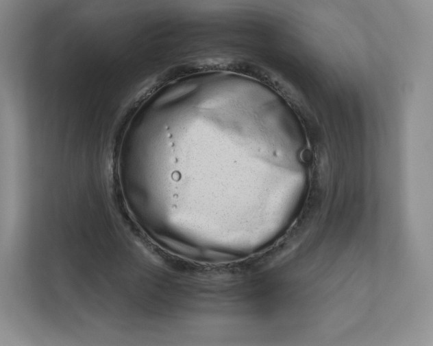 X0000110770729200906291047