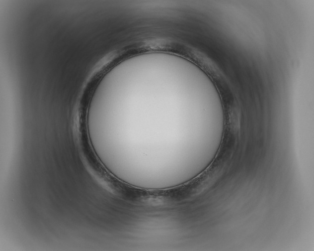 X0000110770730200906291047