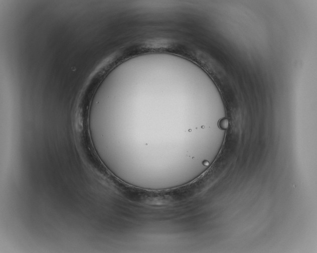 X0000110770731200906291047