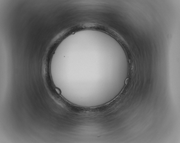 X0000110770732200906291047