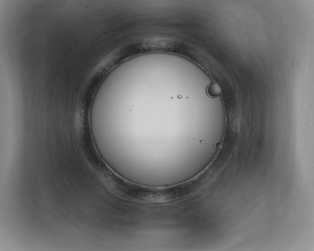 X0000110770735200906291047