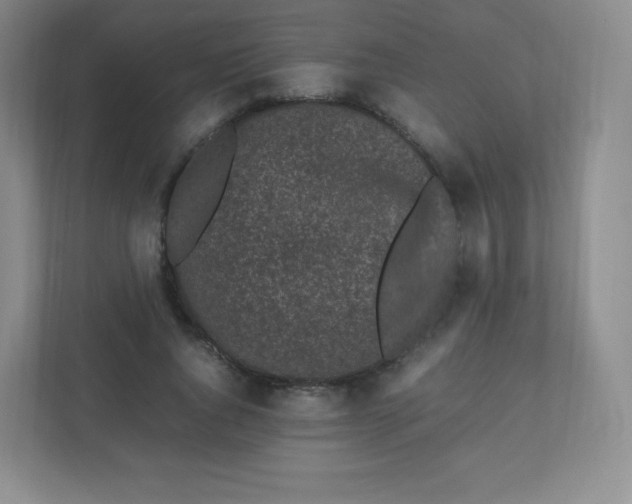 X0000110770736200906291047