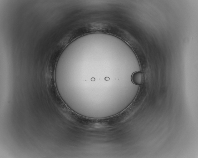 X0000110770737200906291047