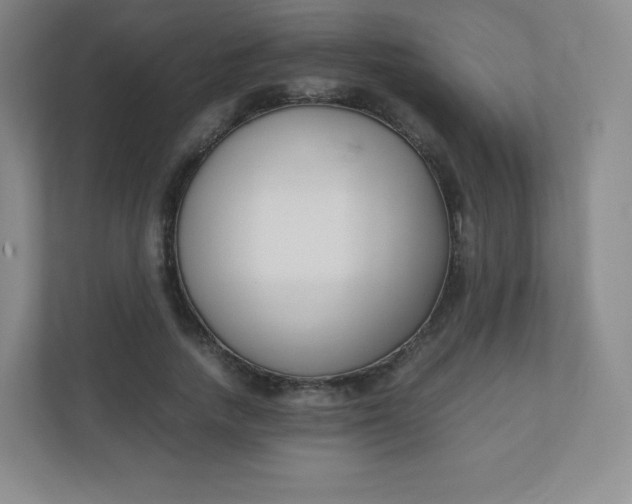 X0000110770738200906291047