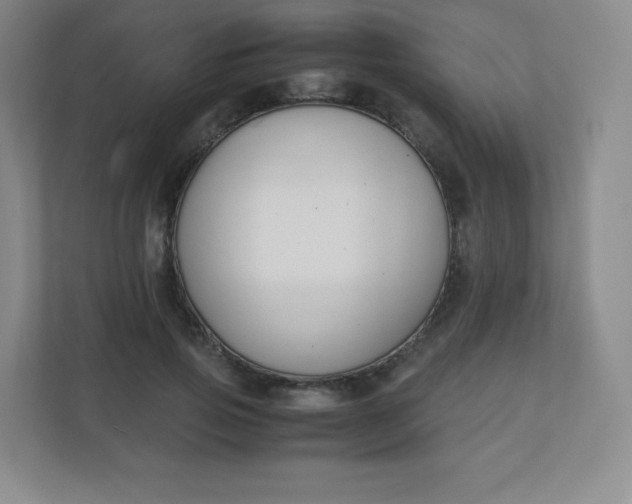 X0000110770741200906291047