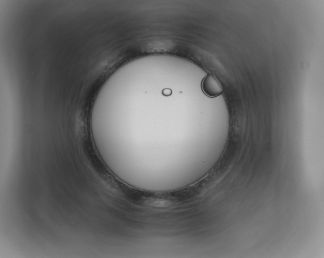 X0000110770743200906291048