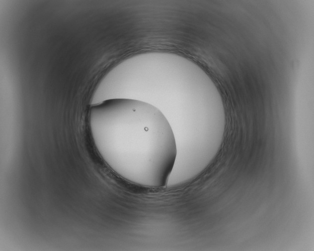 X0000110770744200906291048