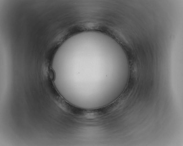 X0000110770746200906291048