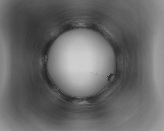 X0000110770747200906291048