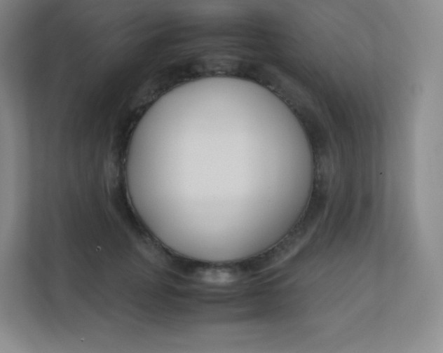 X0000110770751200906291048