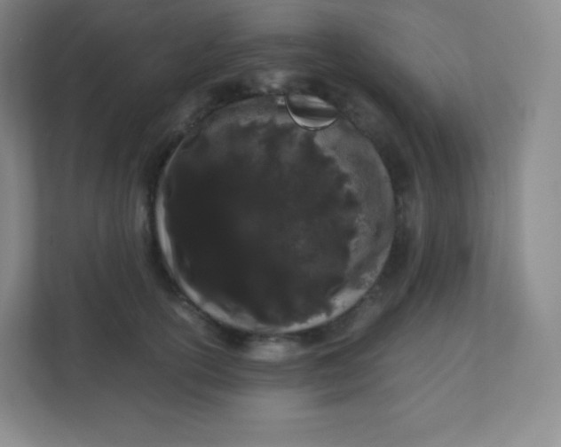 X0000110770754200906291048