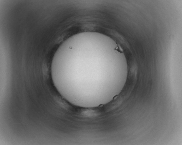 X0000110770759200906291048