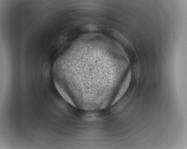 X0000110770760200906291048