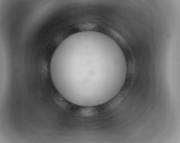 X0000110770761200906291048