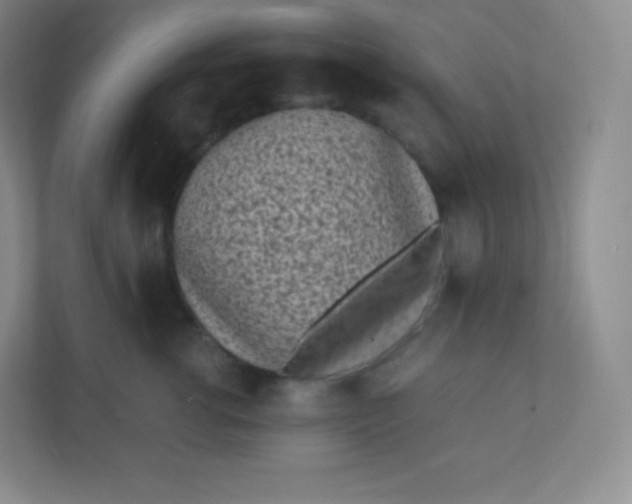 X0000110770762200906291048