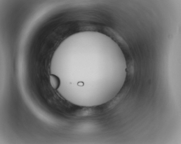 X0000110770764200906291048