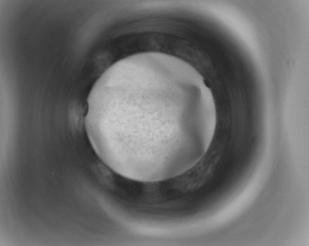 X0000110770766200906291048