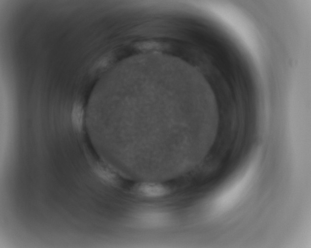 X0000110770767200906291048