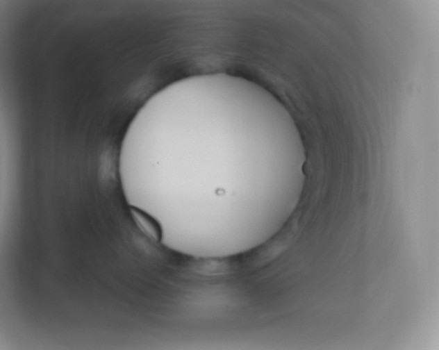 X0000110770768200906291048