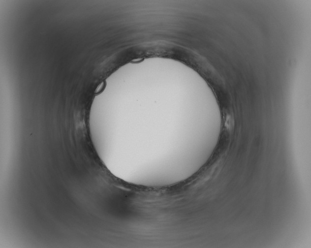 X0000110770771200906291047