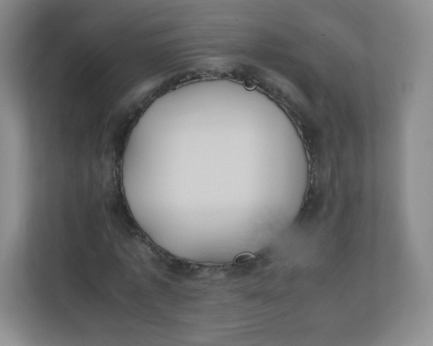 X0000110770773200906291047