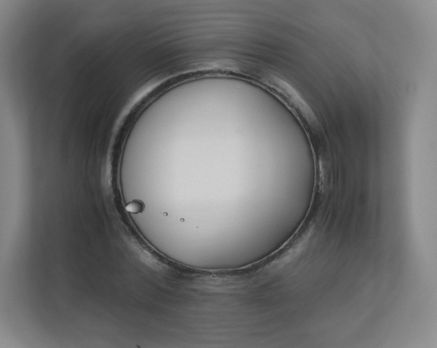 X0000110770780200906291047