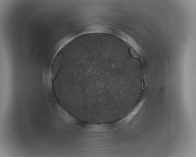 X0000110770781200906291047