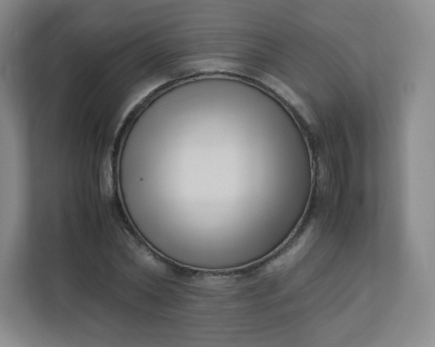 X0000110770782200906291047