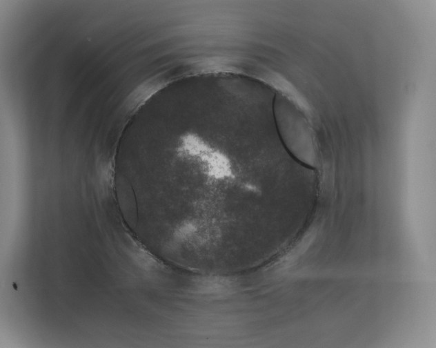 X0000110770785200906291047