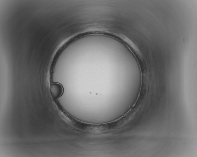 X0000110770791200906291047