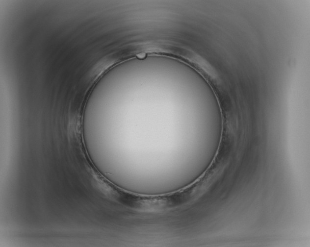 X0000110770793200906291047