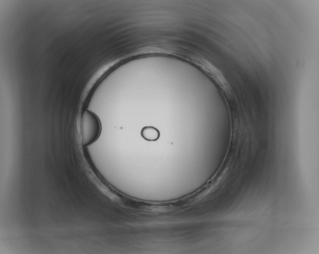 X0000110770796200906291047