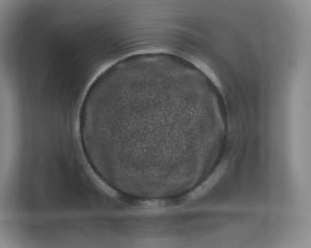 X0000110770797200906291047