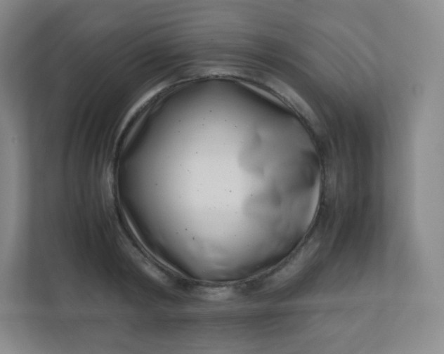 X0000110770798200906291047