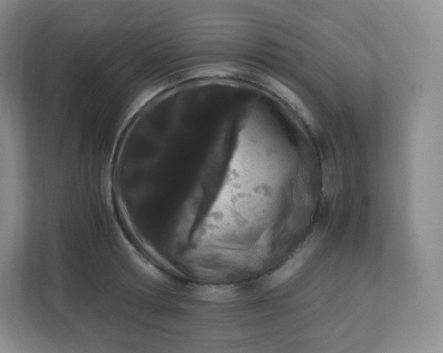 X0000110770802200906291047