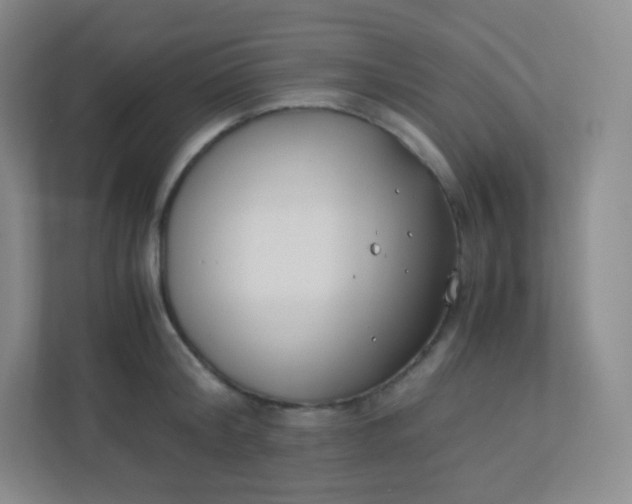 X0000110770804200906291047