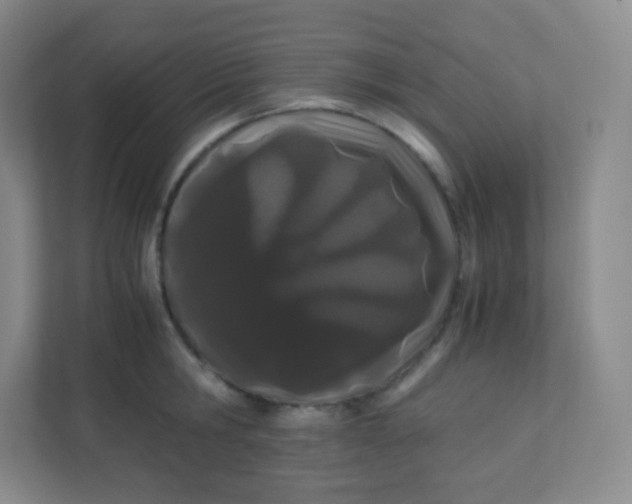 X0000110770806200906291047