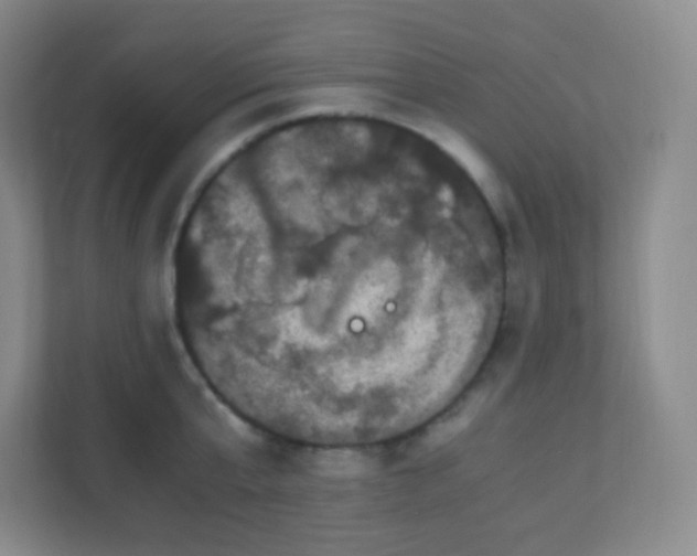 X0000110770807200906291047