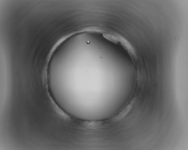 X0000110770808200906291047