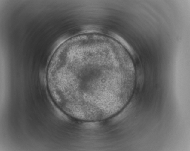 X0000110770810200906291047